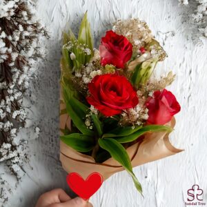 IMG-20241030-WA0008